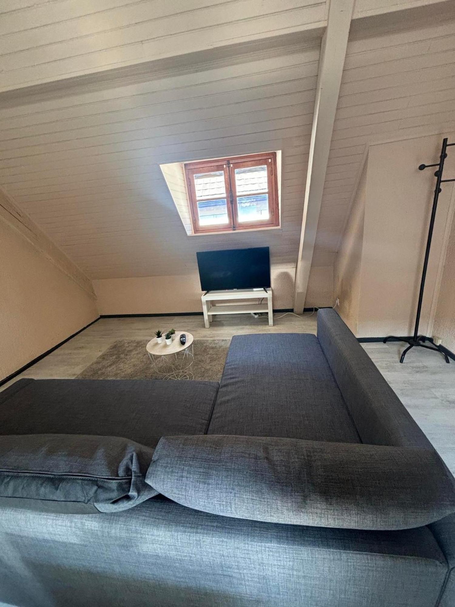 Le Merveilleux Apartment Soultz-Haut-Rhin Luaran gambar